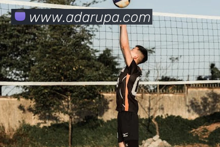 App Interface Preview