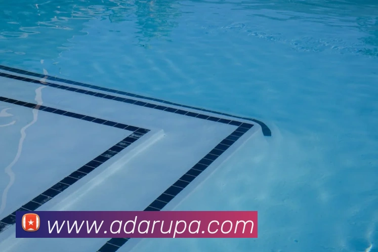 pa真人视讯APP 封面图